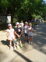 DSC07104.JPG