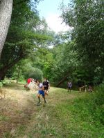 DSC07376.JPG