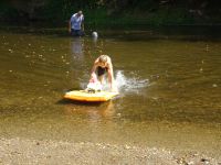 DSC07847.JPG