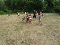 DSC08282.JPG