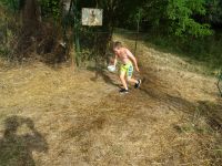DSC08430.JPG