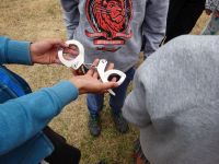 DSC02880.JPG