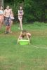 P1290571.JPG