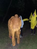 nocni_hra (21).jpeg