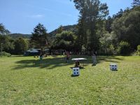 PXL_20240718_073401215.jpg