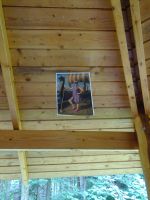 DSC04954.JPG