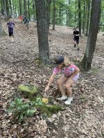 img_0974.jpg