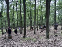 IMG_3576.jpg