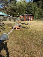 IMG_1017.jpg IMG_1017.jpg