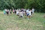 P1270999.JPG