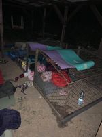 received_615635562394036.jpg