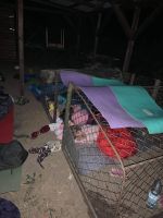received_766659894093772.jpg